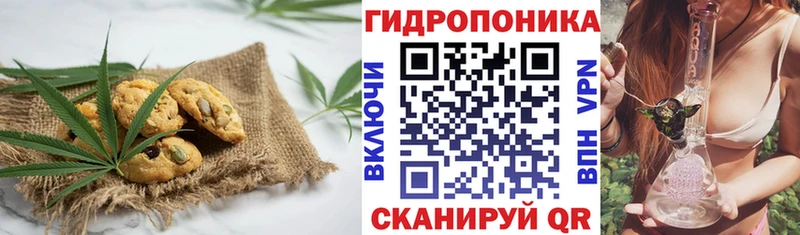 Купить закладки  Саянск  Cannafood конопля 